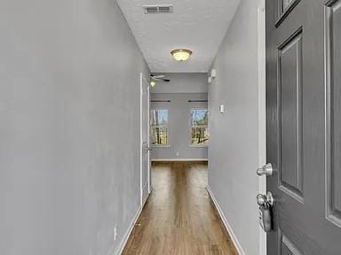 4437 Sunday Silence Way, Murfreesboro, TN 37128 - hall with wood finished floors and baseboards