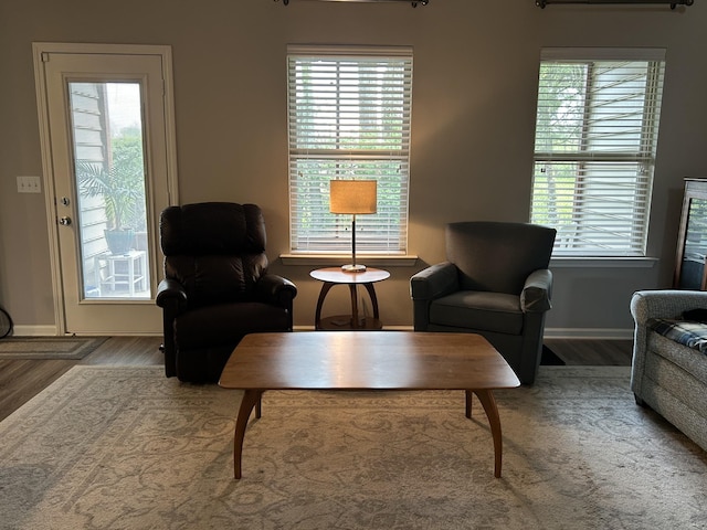 4437 Sunday Silence Way, Murfreesboro, TN 37128 - living area featuring wood finished floors and baseboards