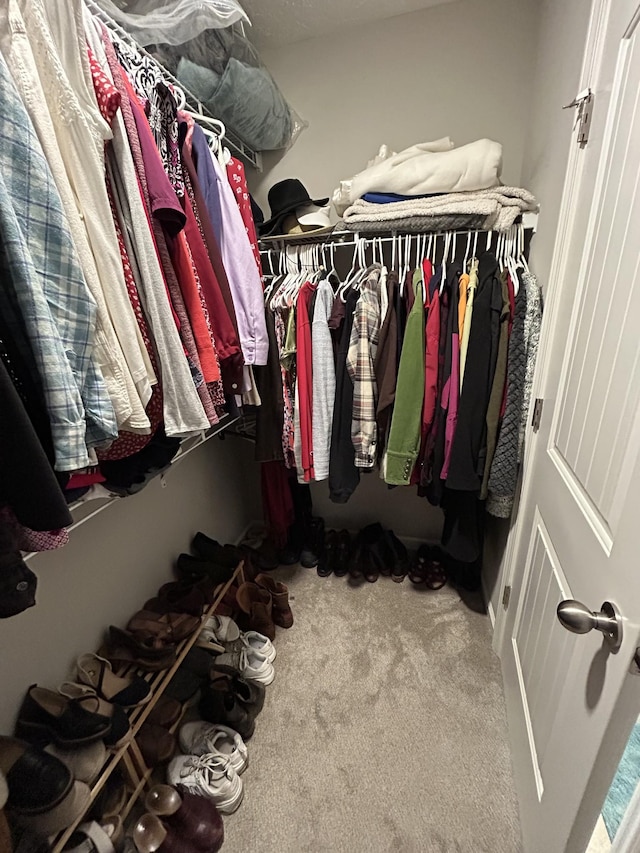 4437 Sunday Silence Way, Murfreesboro, TN 37128 - spacious closet featuring carpet
