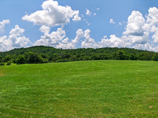 264 Delina Boonshill Rd, Petersburg, TN 37144 - photo 36
