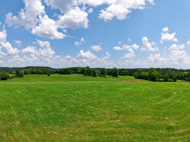 264 Delina Boonshill Rd, Petersburg, TN 37144 - photo 35