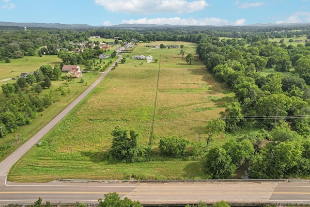 4505 Polaris Dr, Chapel Hill, TN 37034 - aerial view of sparsely populated area