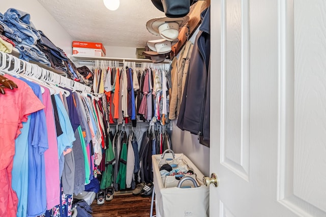 4505 Polaris Dr, Chapel Hill, TN 37034 - walk in closet with wood finished floors