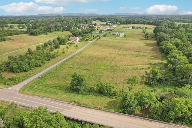 4505 Polaris Dr, Chapel Hill, TN 37034 - view of rural area