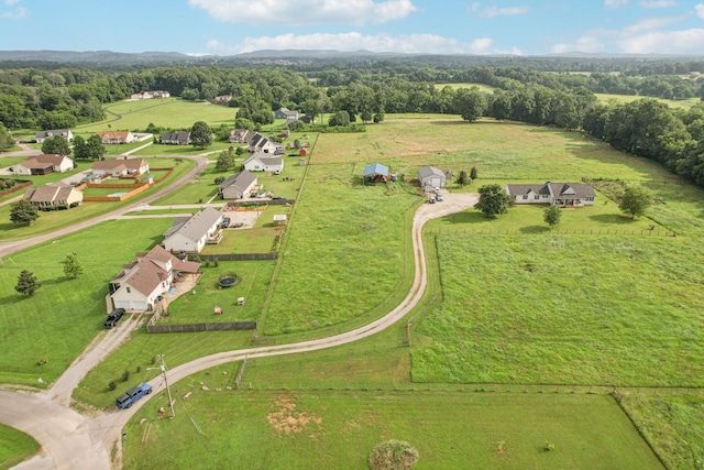 4505 Polaris Dr, Chapel Hill, TN 37034 - aerial view
