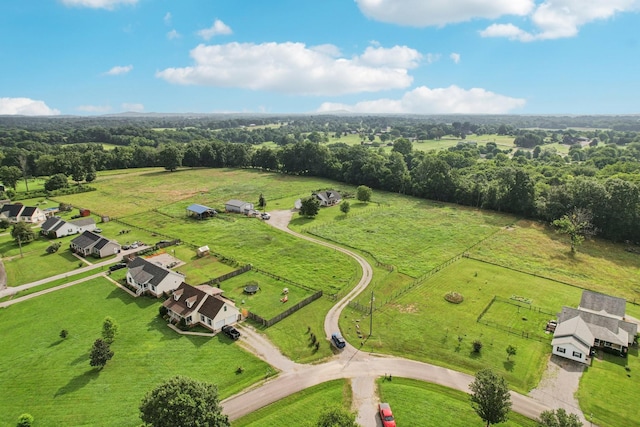 4505 Polaris Dr, Chapel Hill, TN 37034 - aerial view of sparsely populated area