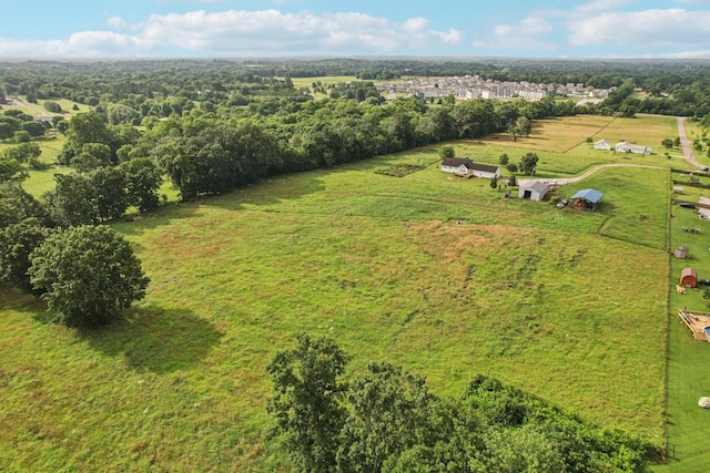 4505 Polaris Dr, Chapel Hill, TN 37034 - aerial view of sparsely populated area