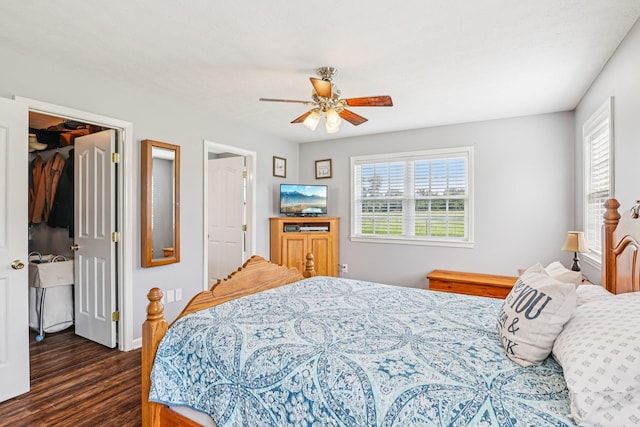 4505 Polaris Dr, Chapel Hill, TN 37034 - bedroom featuring multiple windows, dark wood-style flooring, a walk in closet, and ceiling fan