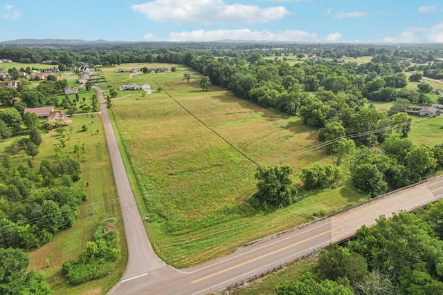 4505 Polaris Dr, Chapel Hill, TN 37034 - view of rural area