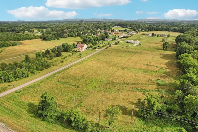 4505 Polaris Dr, Chapel Hill, TN 37034 - overview of rural landscape