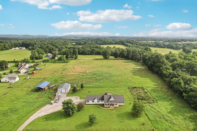 4505 Polaris Dr, Chapel Hill, TN 37034 - view of rural area