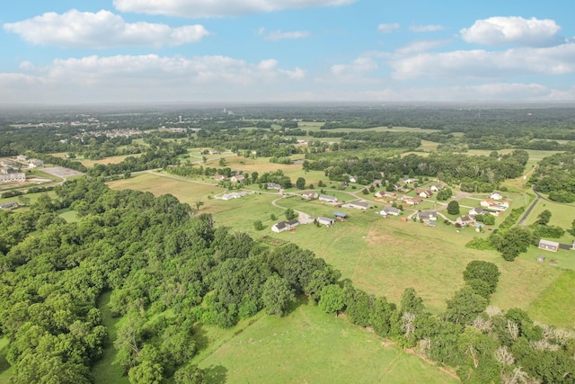 4505 Polaris Dr, Chapel Hill, TN 37034 - view of property location