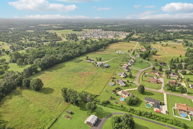 4505 Polaris Dr, Chapel Hill, TN 37034 - aerial view of sparsely populated area