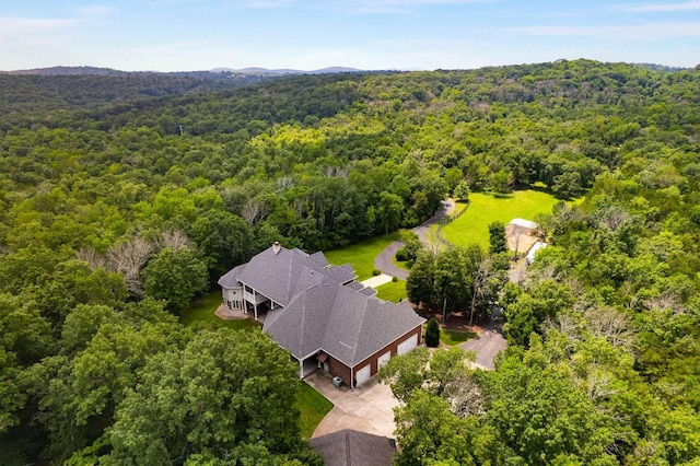 12200 Franklin Rd, College Grove, TN 37046 - photo 59
