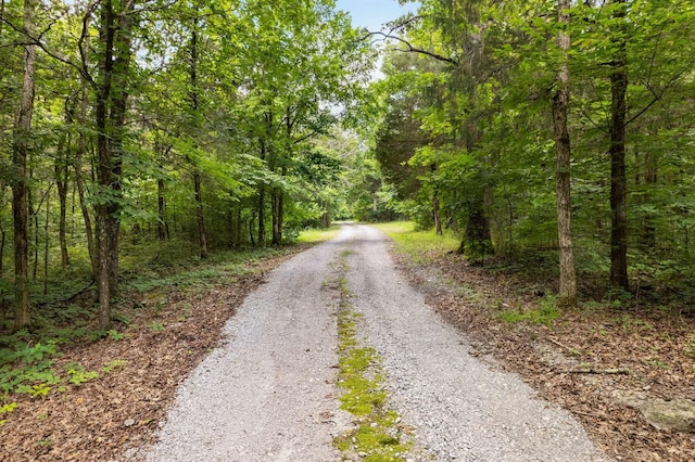 12200 Franklin Rd, College Grove, TN 37046 - photo 62