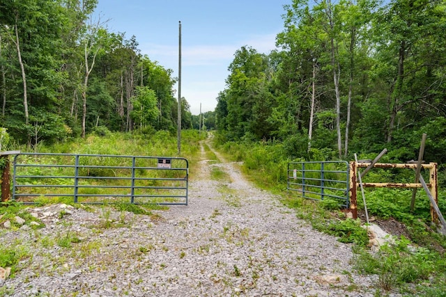 12200 Franklin Rd, College Grove, TN 37046 - photo 63