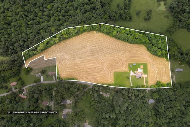 915 Rocky Hollow Rd, Erin, TN 37061 - aerial view of property's location with property parcel outlined