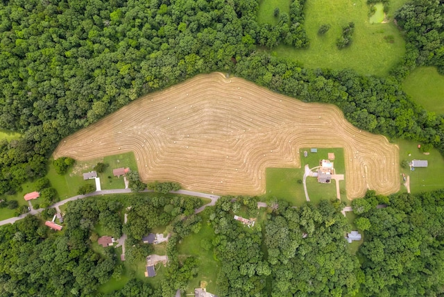 915 Rocky Hollow Rd, Erin, TN 37061 - aerial overview of property's location