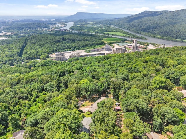 1059 Balmoral Dr, Signal Mountain, TN 37377 - photo 56