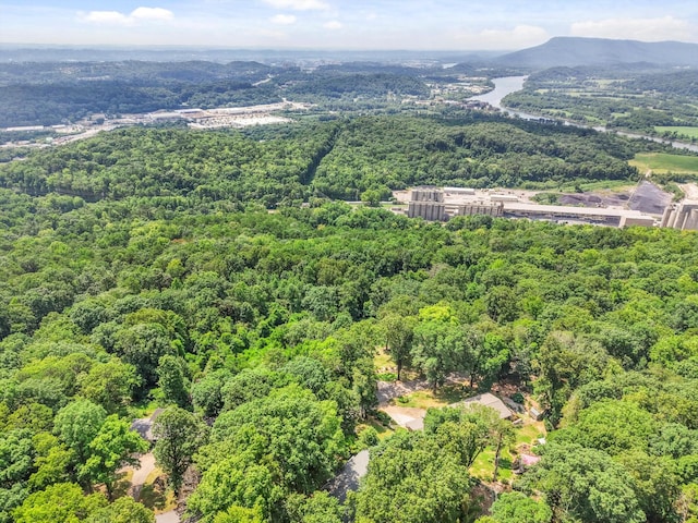 1059 Balmoral Dr, Signal Mountain, TN 37377 - photo 55