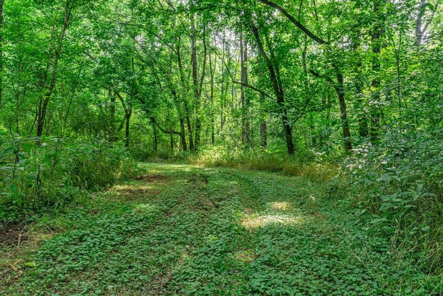 3316 Burr Rd, Springfield, TN 37172 - photo 56