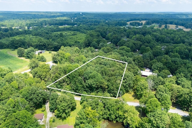 0 Ash Bury Dr, Sparta, TN 38583 - photo 4