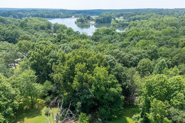 0 Ash Bury Dr, Sparta, TN 38583 - photo 8