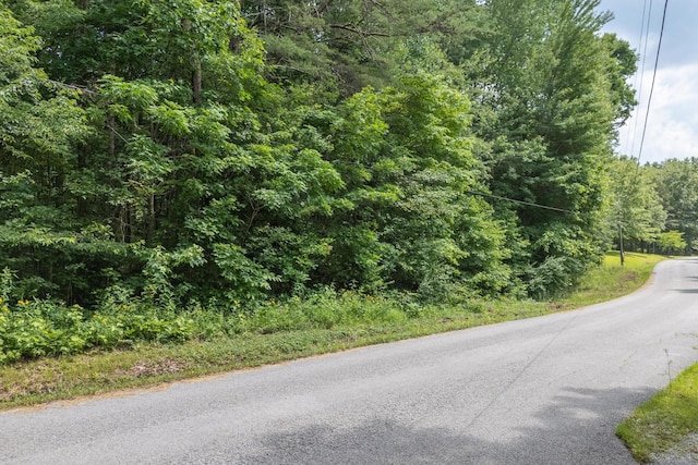 0 Ash Bury Dr, Sparta, TN 38583 - photo 6