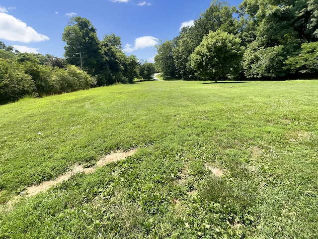 1666 Sparkleberry Dr, Clarksville, TN 37042 - photo 20