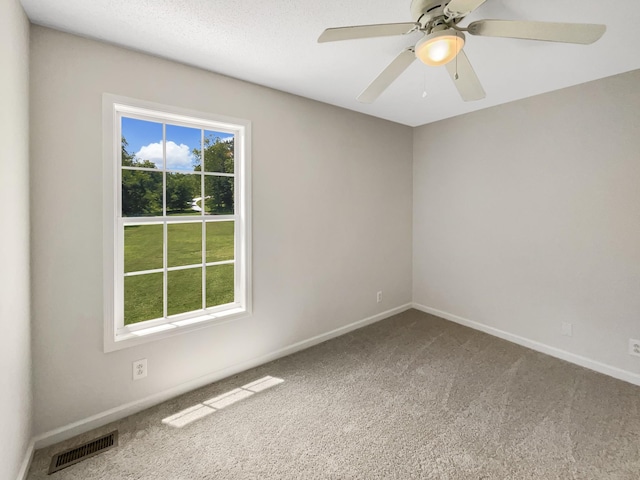 1666 Sparkleberry Dr, Clarksville, TN 37042 - photo 14
