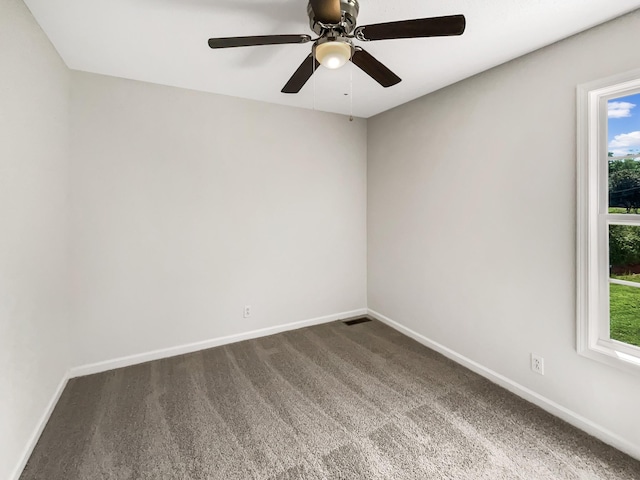 1666 Sparkleberry Dr, Clarksville, TN 37042 - photo 13