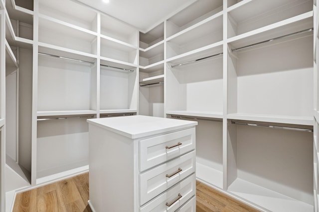 6315 Callie Ln, Brentwood, TN 37027 - spacious closet featuring light wood-style floors