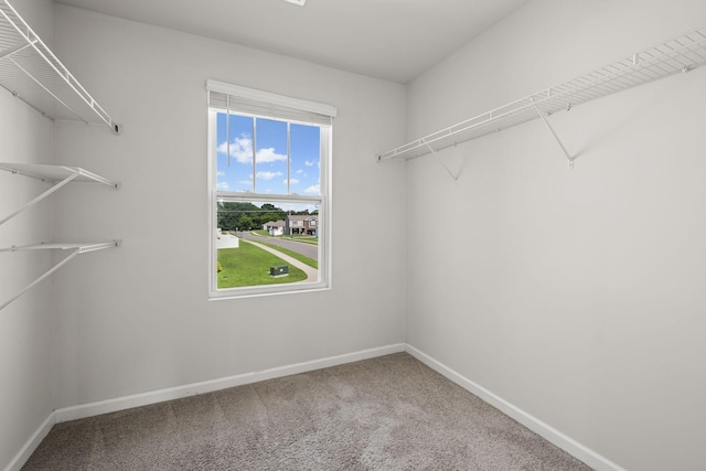830 Long Leaf Rd, Lebanon, TN 37087 - walk in closet with carpet floors
