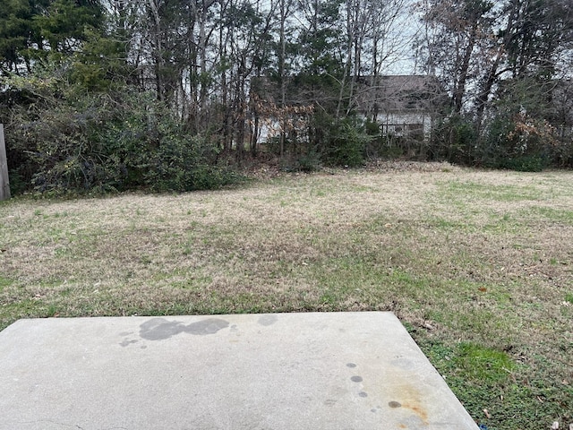 1029 Achiever Cir, Spring Hill, TN 37174 - photo 5