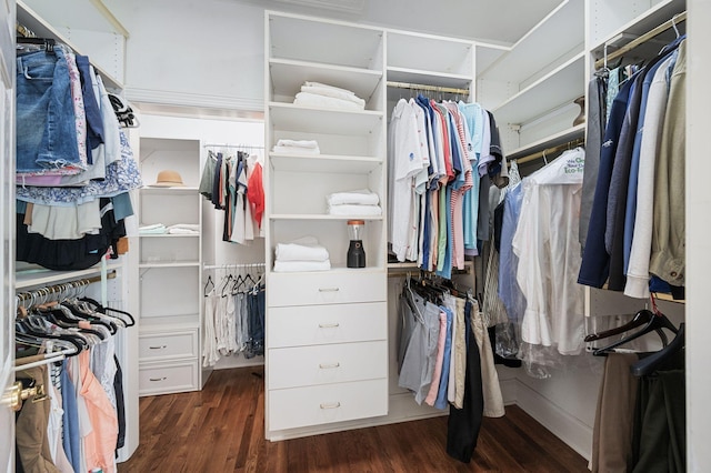 9732 Turnbridge Ct, Brentwood, TN 37027 - spacious closet with dark wood-style flooring