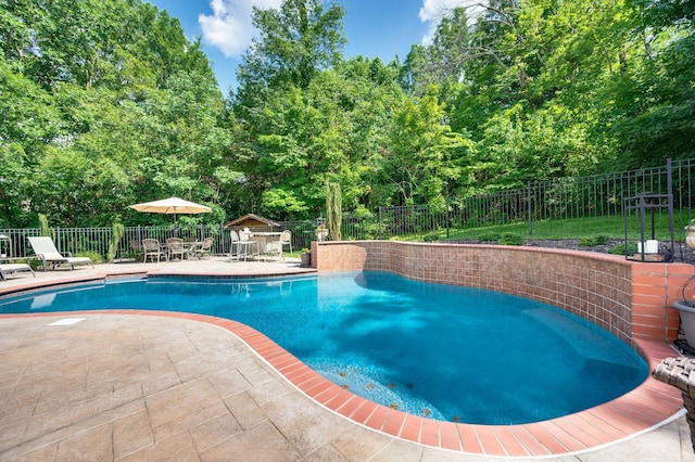 9732 Turnbridge Ct, Brentwood, TN 37027 - view of swimming pool with a patio, outdoor dining area, and a fenced backyard