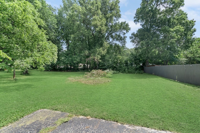 75 Belmar Rd, Manchester, TN 37355 - photo 33