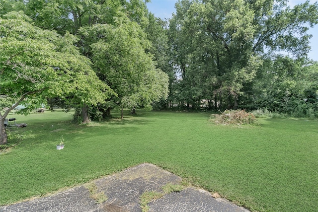 75 Belmar Rd, Manchester, TN 37355 - photo 32
