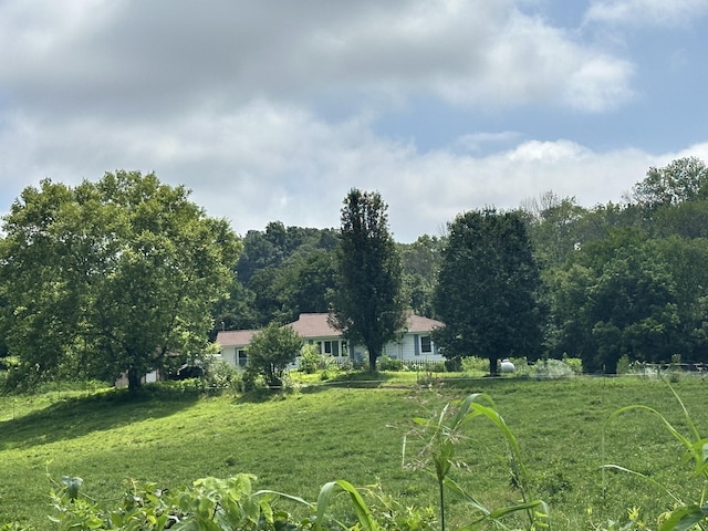 994 Bull Run Rd, Lynchburg, TN 37352 - view of yard
