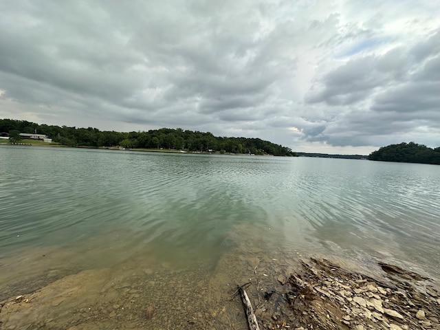 1642 Slover Springs Rd, Dandridge, TN 37725 - photo 47