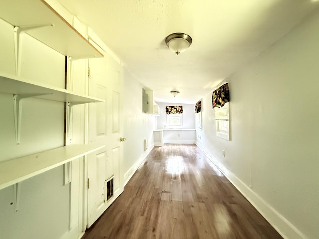 2844 Jarman Hollow Rd, Palmyra, TN 37142 - hallway with baseboards and dark wood-style flooring