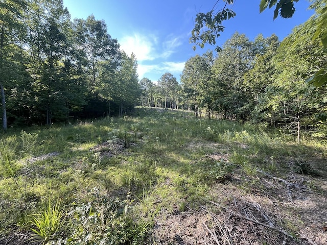 481 Hillbrook Dr, Linden, TN 37096