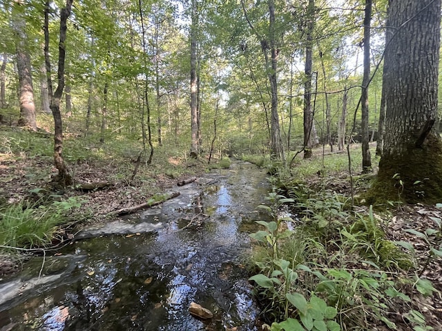 481 Hillbrook Dr, Linden, TN 37096
