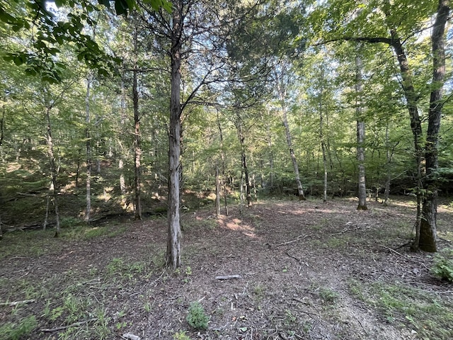 481 Hillbrook Dr, Linden, TN 37096