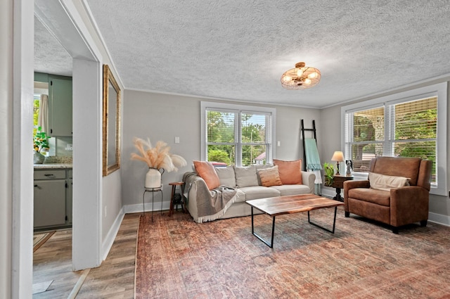 909 W 1st St, Dickson, TN 37055 - living room featuring light wood-style flooring, healthy amount of natural light, ornamental molding, a chandelier, and a textured ceiling