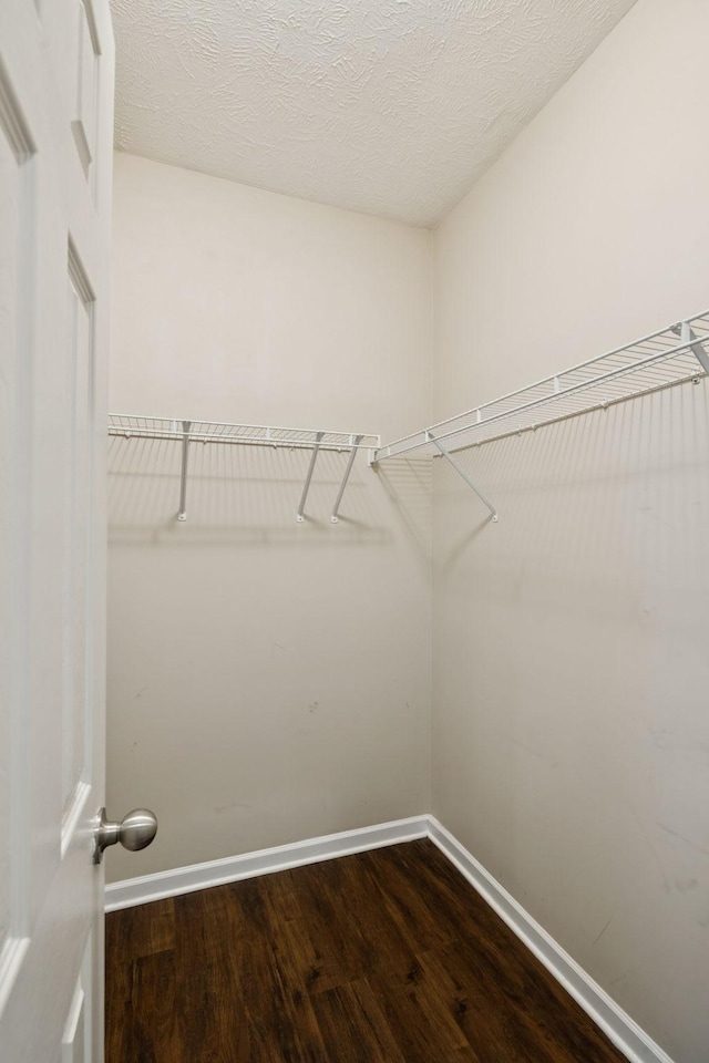 359 Sarava Ln, Smyrna, TN 37167 - photo 29