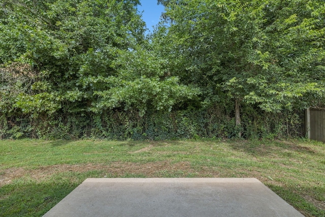 359 Sarava Ln, Smyrna, TN 37167 - photo 34