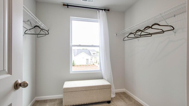 4910 Mowbray Way, Murfreesboro, TN 37129 - walk in closet featuring light carpet