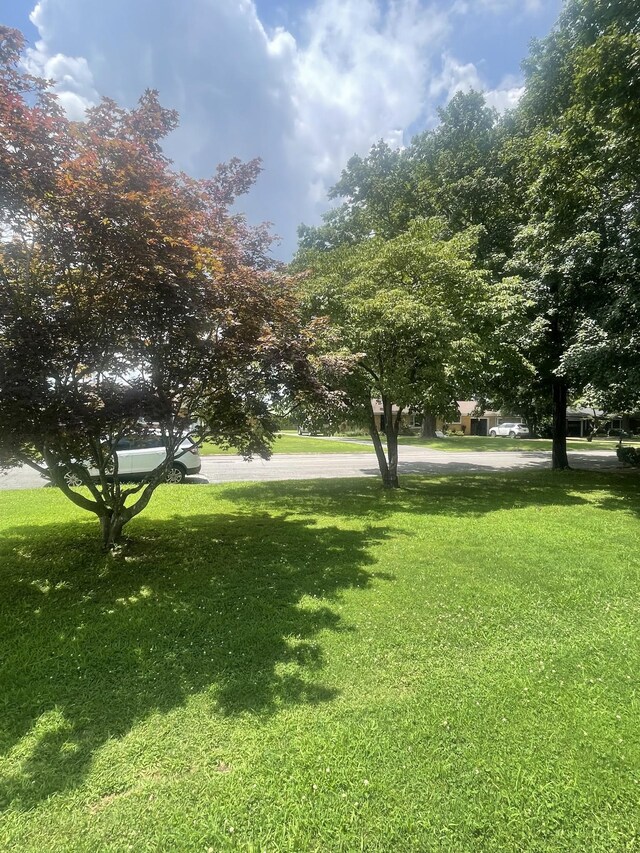 1212 Poplar Dr, Lawrenceburg, TN 38464 - view of grassy yard
