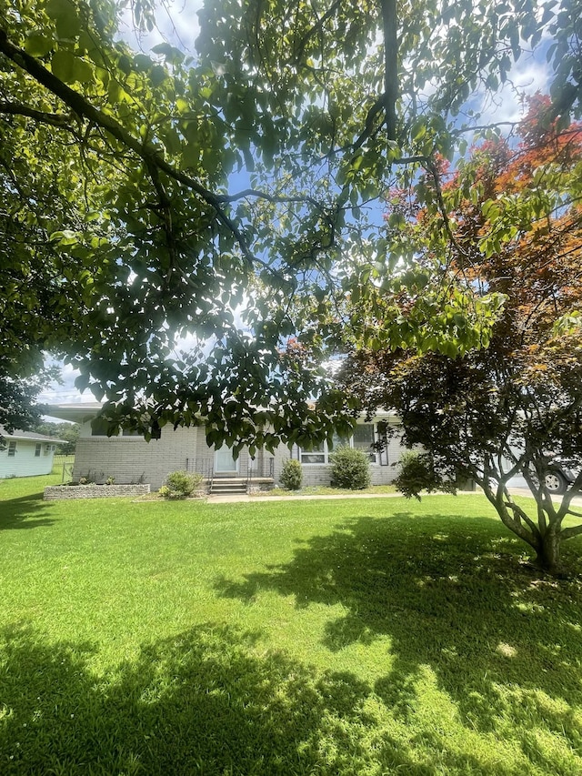 1212 Poplar Dr, Lawrenceburg, TN 38464 - view of green lawn